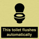 this-toilet-flushes-automatically~